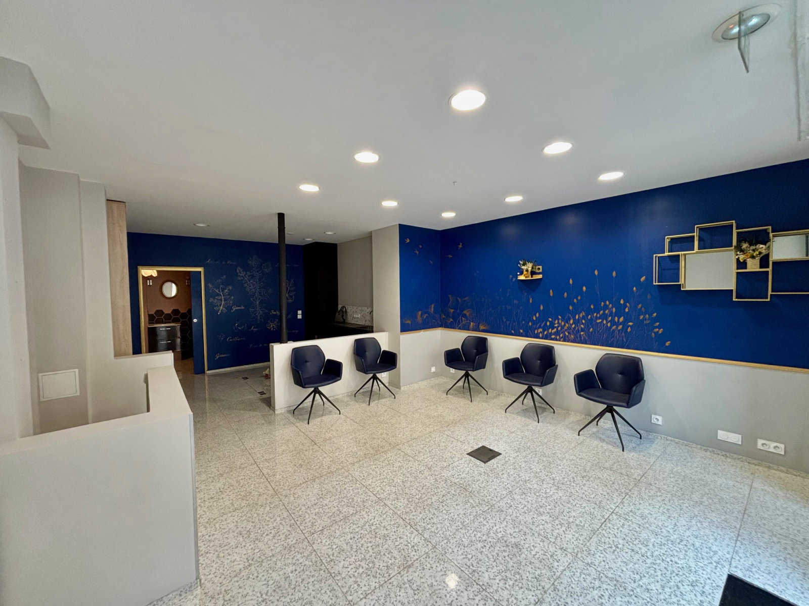Image_, Local commercial, Paris, ref :DAB-63-75011